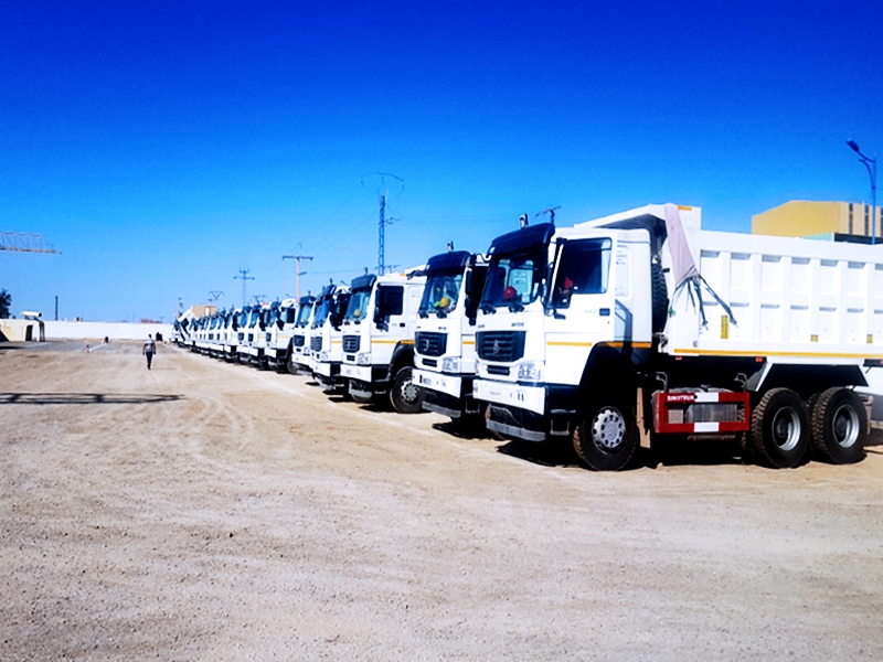 SINOTRUK big Algeria transportation company client.